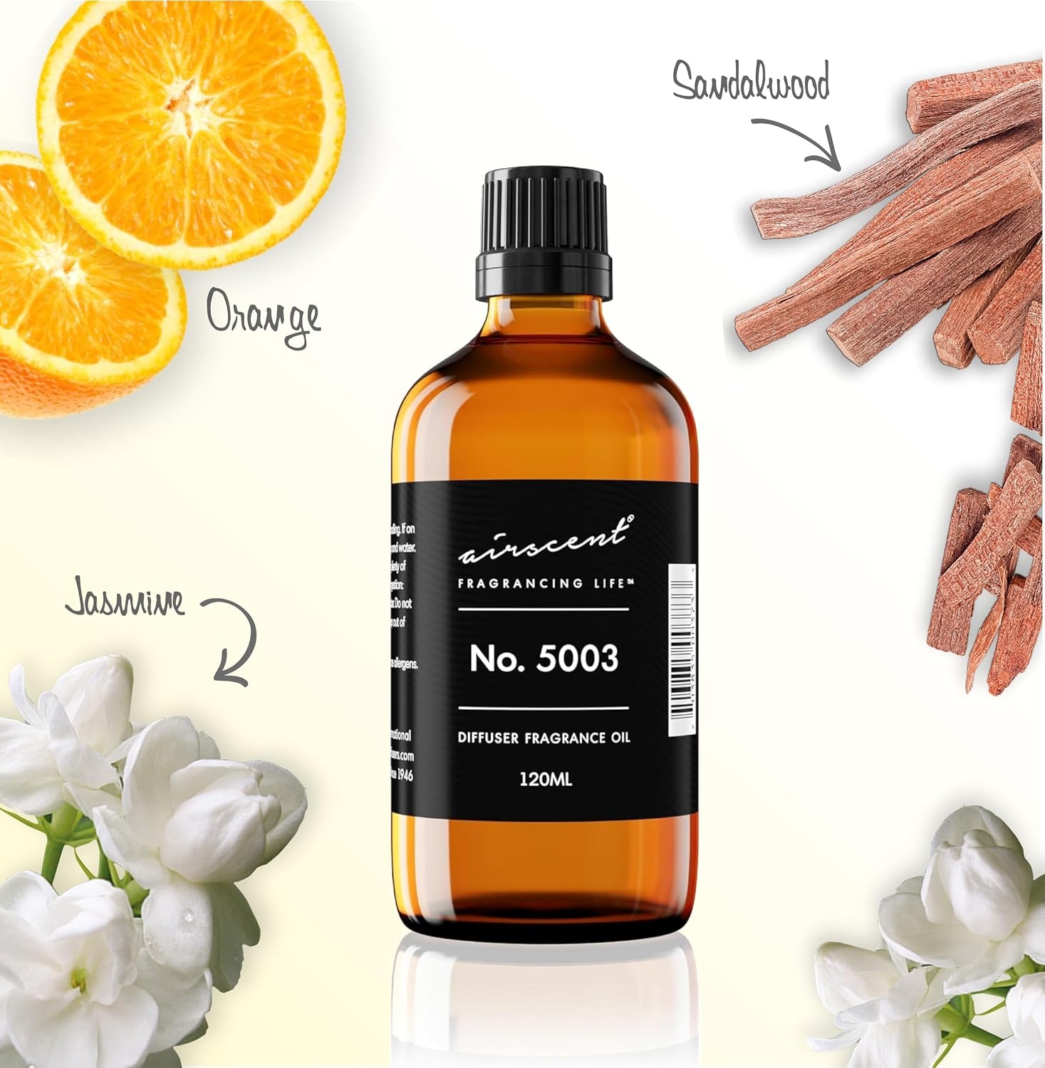 AirScent Coco-Inspired Diffuser Oil – No. 5003 Perfume Dupe – Premium Fragrance Oil Blend for Ultrasonic and Waterless Diffusers and Crafting – 10 ml, 0.34 fl oz Glass Bottle with Dropper(4 Fl Oz (Pack of 1))