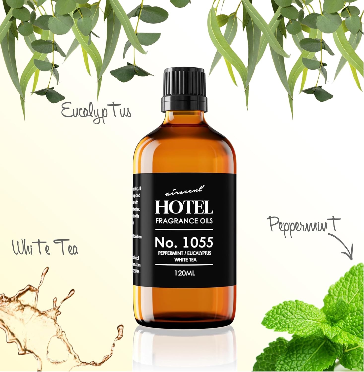 AirScent Hotel Diffuser Oil No. 1055 Inspired by Energize Hotel Scent – Peppermint Eucalyptus White Tea – Fragrance Oil Blend for Ultrasonic and Waterless Diffusers and Crafting – 10 mL(4 Fl Oz (Pack of 1))