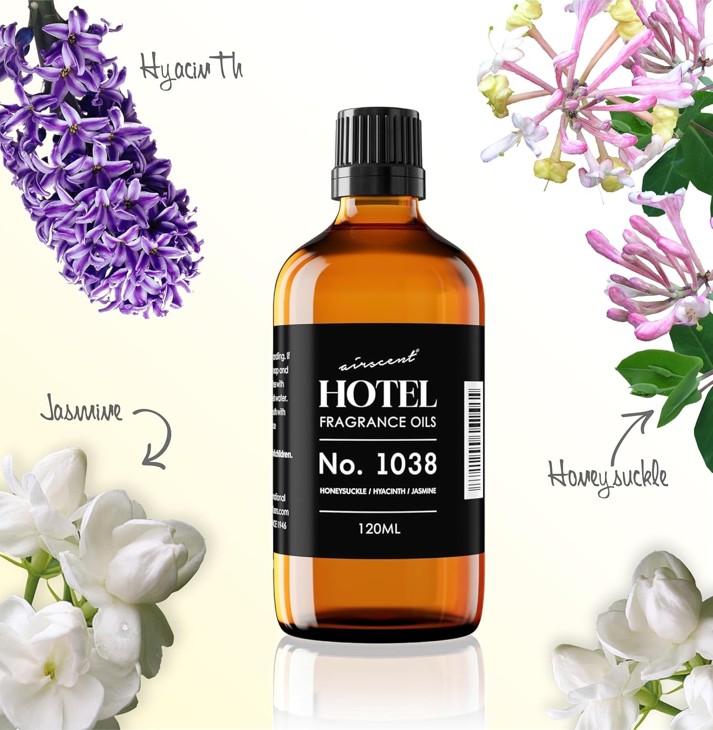 AirScent Hotel Diffuser Oil No. 1038 – Las Vegas Hotel Spa Scent Dupe – Premium Fragrance Oil for Ultrasonic and Waterless Diffusers and Crafting – 10 mL, 0.34 fl oz Glass Dropper Bottle(16.9 Fl Oz (Pack of 1))