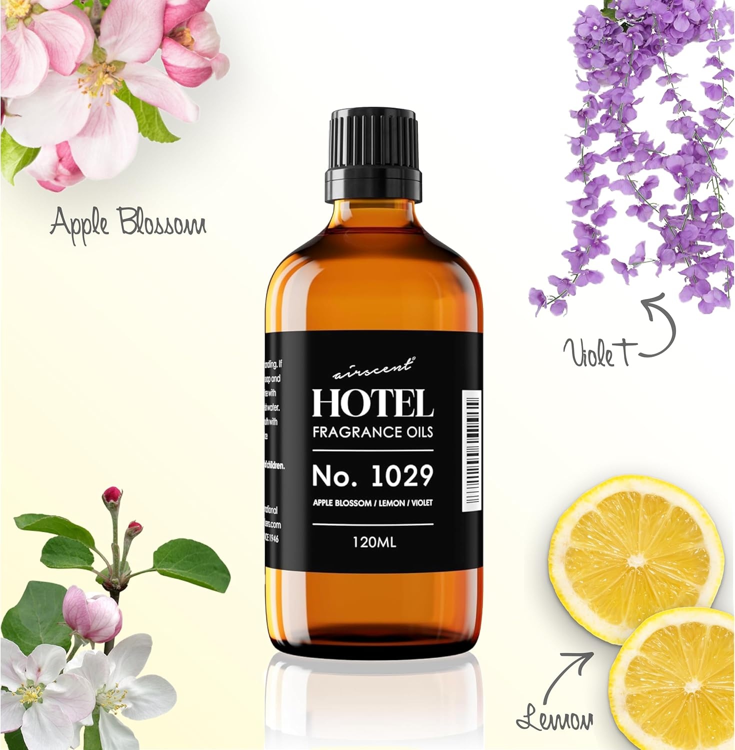 AirScent Hotel Diffuser Oil No. 1029 – Floral Breeze Hotel Scent -10 mL | Premium Fragrance Oil for Ultrasonic and Waterless Diffusers and Crafting(0.34 Fl Oz (Pack of 1))
