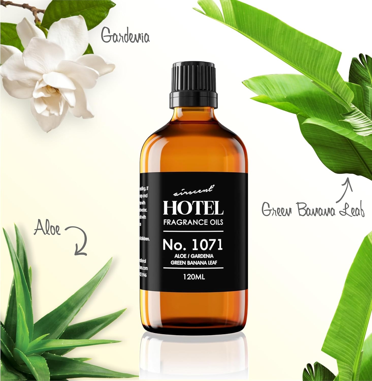 AirScent Hotel Diffuser Oil No. 1071 – Aloe, Gardenia, Green Banana Leaf – Premium Fragrance Oil for Ultrasonic and Waterless Diffusers and Crafting – 10 mL, 0.34 fl oz Glass Dropper Bottle(4 Fl Oz (Pack of 1))