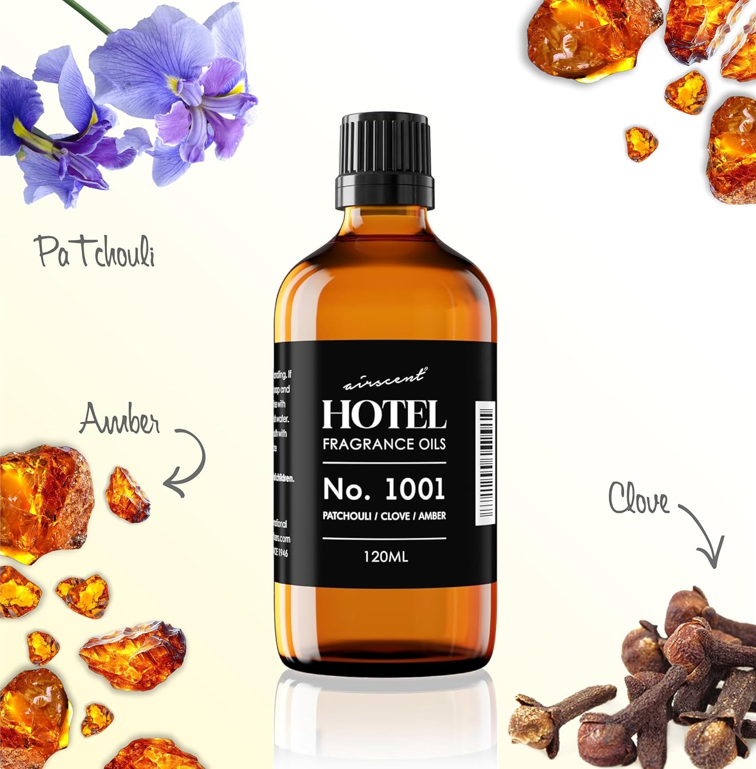 AirScent Hotel Diffuser Oil No. 1001 – Patchouli Clove Amber – 10 mL | Hotel Scent Dupe – Premium Fragrance Oil for Ultrasonic and Waterless Diffusers – .34 fl oz Dropper Bottle(Patchouli  Clove and Amber)