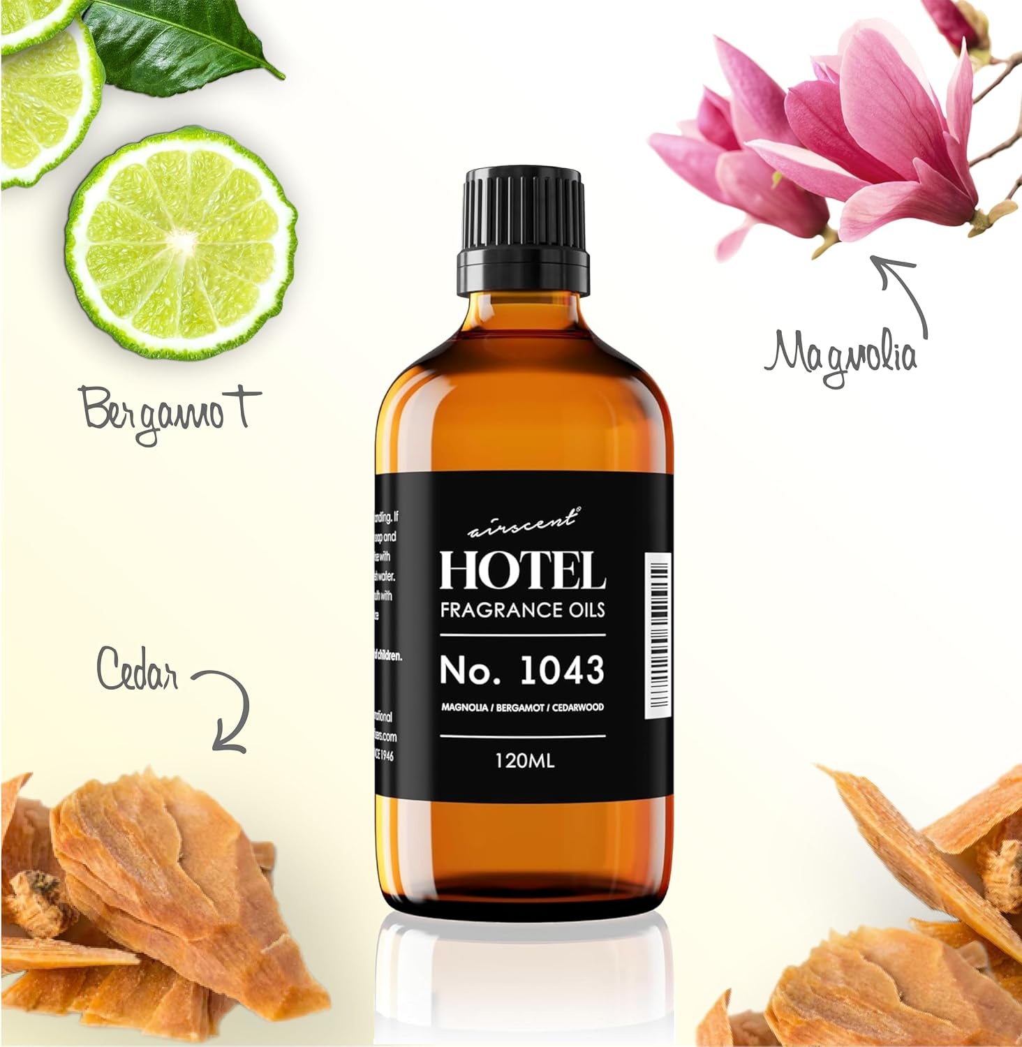 AirScent Magnolia Wood Hotel Diffuser No. 1043 – Magnolia Bergamot Cedarwood – Premium Fragrance Oil for Ultrasonic and Waterless Diffusers and Crafting – 10 mL, 0.34 fl oz Dropper Bottle(120 ml)