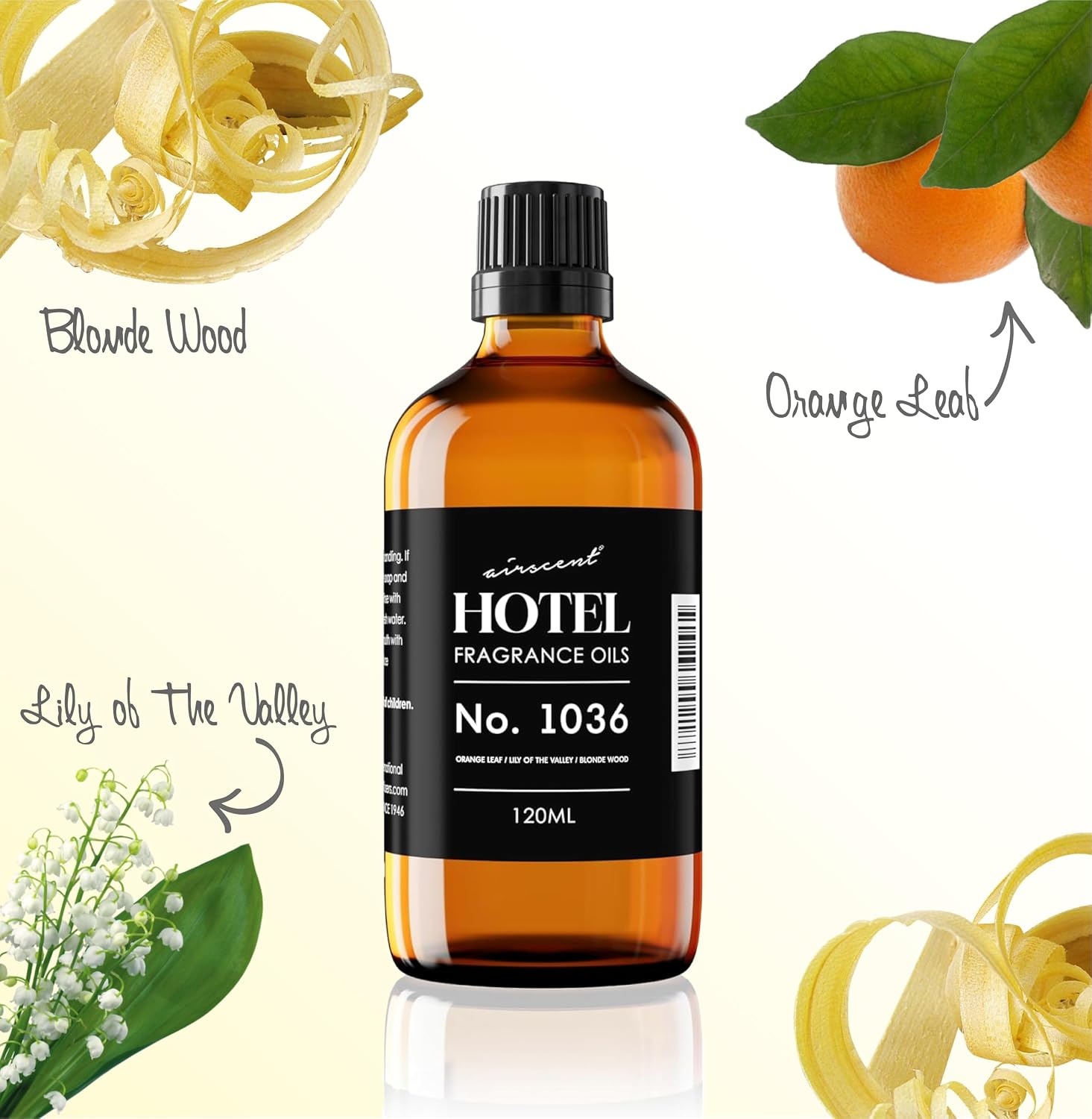 AirScent Hotel Diffuser Oil No. 1036 Inspired by The Las Vegas Venetian-Inspired Hotel Scent – 10 mL Glass Bottle – Premium Fragrance Oil for Ultrasonic and Waterless Diffusers and Crafting(0.34 Fl Oz (Pack of 1))