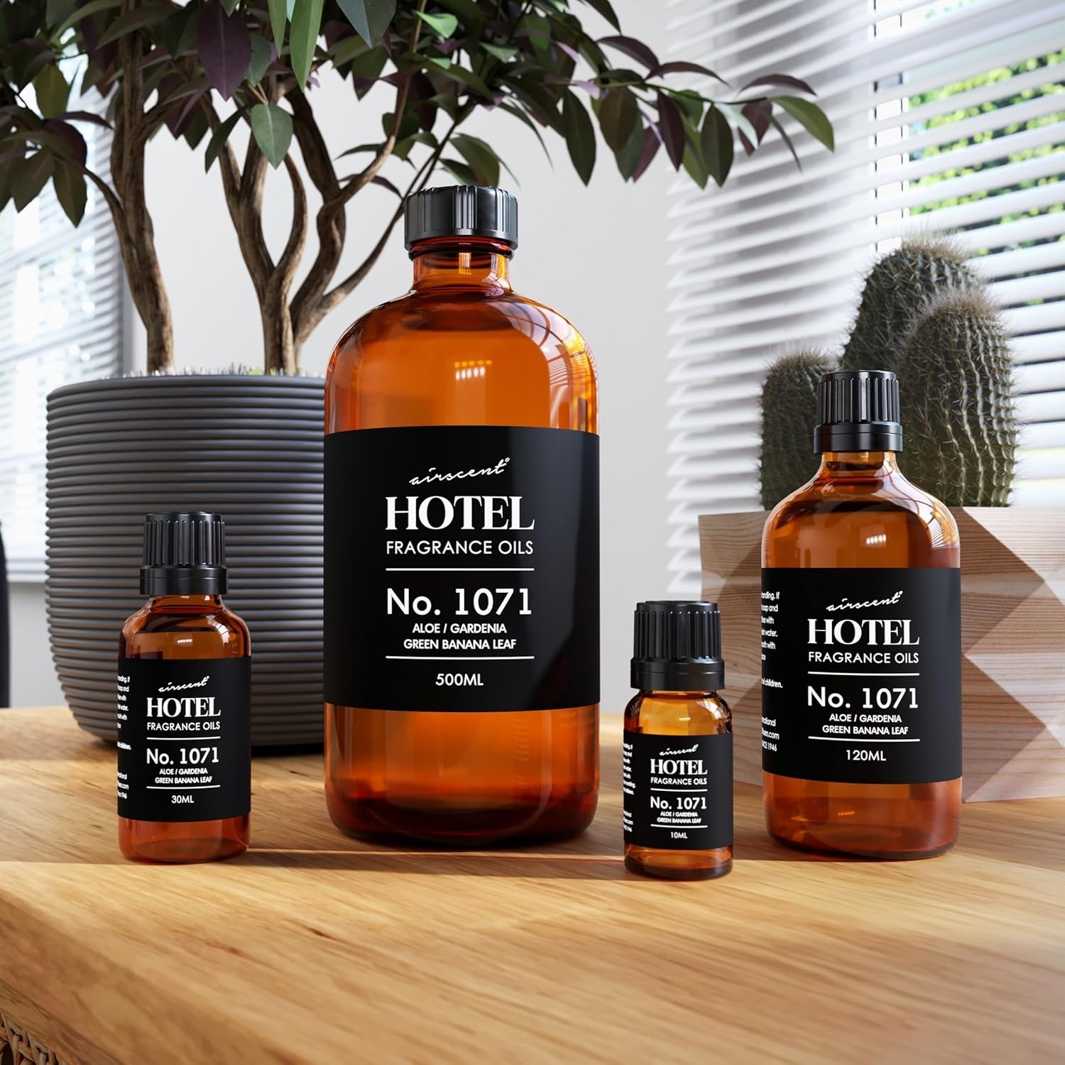 AirScent Hotel Diffuser Oil No. 1071 – Aloe, Gardenia, Green Banana Leaf – Premium Fragrance Oil for Ultrasonic and Waterless Diffusers and Crafting – 10 mL, 0.34 fl oz Glass Dropper Bottle(1 Fl Oz (Pack of 1))
