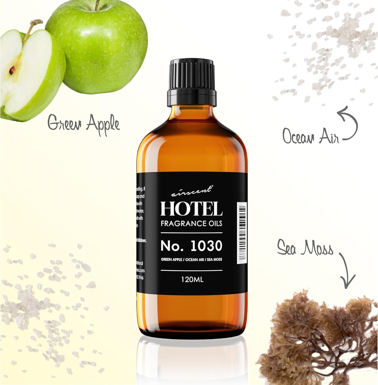 AirScent Hotel Diffuser Oil No. 1030 Inspired by The Beach House Hotel Scent – Fragrance Oil for Ultrasonic and Waterless Diffusers and Crafting – 10 mL, 0.34 fl oz Glass Bottle with Dropper(1 Fl Oz (Pack of 1))