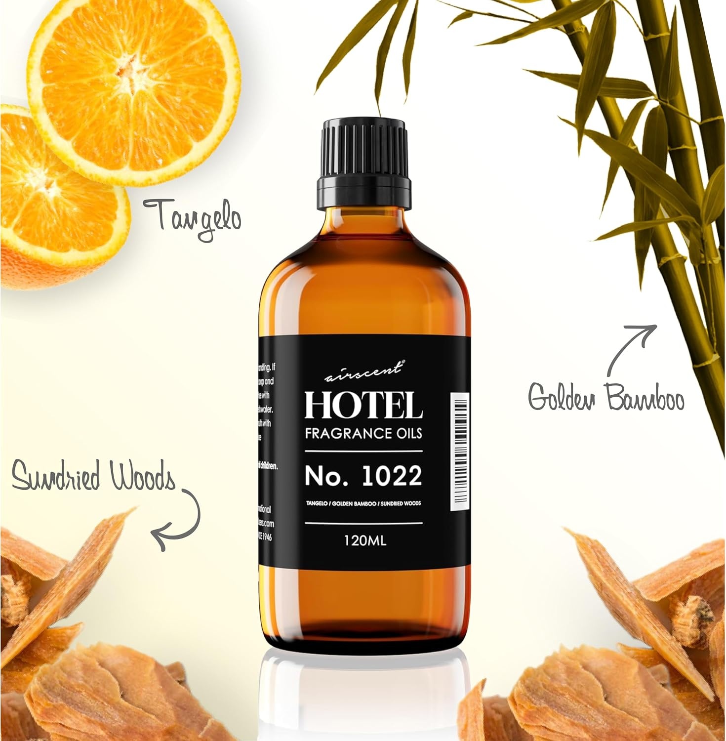 AirScent Hotel Diffuser Oil No. 1022 – Tangelo Golden Bamboo Sundried Woods – Hotel Scent Dupe – Fragrance Oil for Ultrasonic and Waterless Diffusers and Crafting – 10 mL, 0.34 fl oz Glass Bottles(16.9 Fl Oz (Pack of 1))