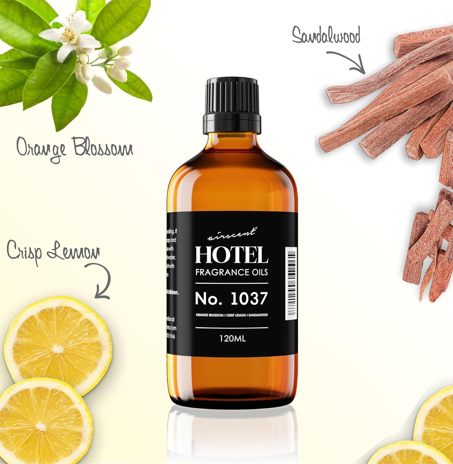 AirScent Hotel Diffuser Oil No. 1037 – Orange Blossom Lemon and Sandalwood – Hotel Scent Dupe – Premium Fragrance Oil for Ultrasonic and Waterless Diffusers and Crafting – 10 mL, 0.34 fl oz Bottle(4 Fl Oz (Pack of 1))