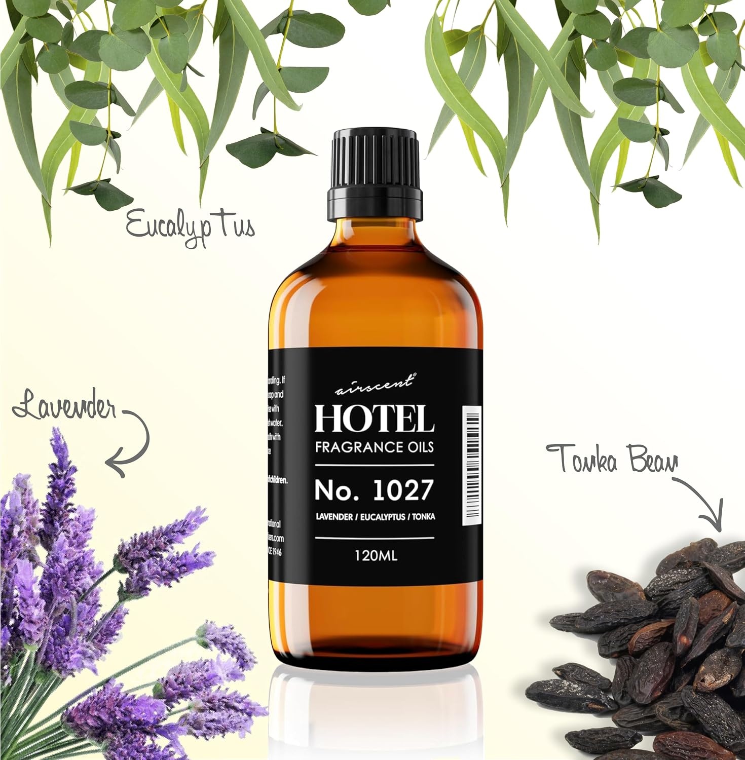 AirScent Hotel Diffuser Oil No. 1027 Inspired by The Zen Hotel Scent – Premium Fragrance Oil for Ultrasonic and Waterless Diffusers and Crafting – 10 mL, 0.34 fl oz Glass Bottle with Dropper(4 Fl Oz (Pack of 1))
