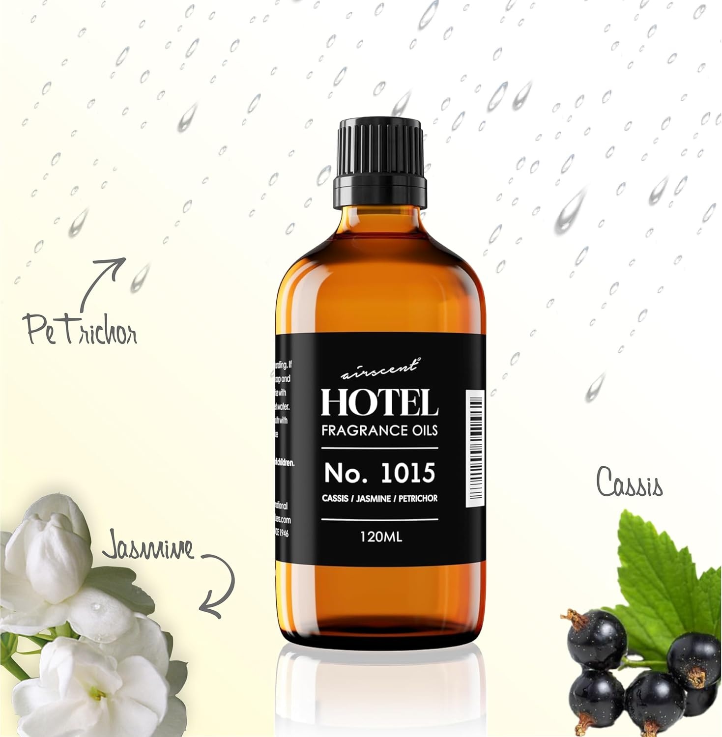 AirScent Hotel Diffuser Oil No. 1015 – Cassis Jasmine Petrichor – Premium Fragrance Oil for Ultrasonic and Waterless Diffusers and Crafting – 10 mL, 0.34 fl oz Glass Dropper Blottle(Cassis  Jasmine & Petrichor)